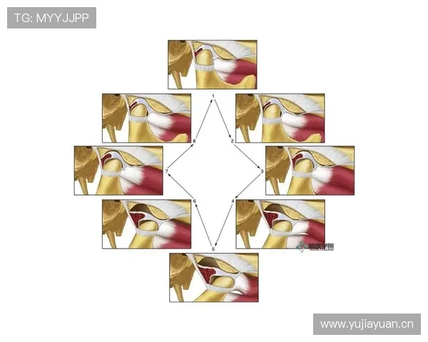 基于生物力学的运动技术结构解析与实战应用研究训练优化路径探索